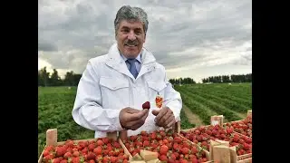 Павлу Грудинину – 60 лет!
