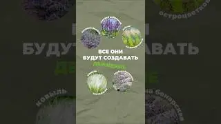 Состав цветника в описании