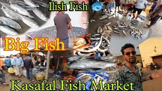 Kasafal Fish Market || ilish Fish 🐠 || Big fish ||fish vlog in Hindi || all India vlog siraj