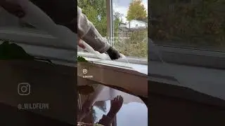 So glad I did this! Took much stress out of watering my windowsill plants 🌿 
