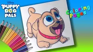 Дружные мопсы 
