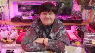 ПОПОЛНЕНИЕ В СЕМЕЙСТВЕ!
