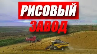 Как Перерабатывают Рис? Рисовый Завод в Дагестане / Антон Пермяков