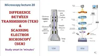 Differences between Transmission (TEM) & Scanning Electron microscopy (SEM) | Microscopy lecture 20