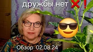 Обзор. Собирается возобновить ДЕЛО😭