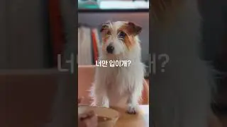 인생을 울리는 『농심 신라면』🍜 '강아지 辛' | 농심
