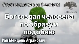 Бог создал человека по образу и подобию…  Ответ иудаизма за 3 минуты. Рав Мендель Агранович