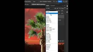 How to match tree color easily in photoshop 2024