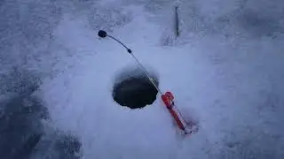 11.02.23 Ловля корюшки на Финском заливе Ушково.