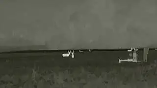 ZEISS DTI 3/25 ~ Jumping Whitetail Deer