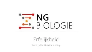 Erfelijkheid - gekoppelde dihybride kruising - HAVO/VWO