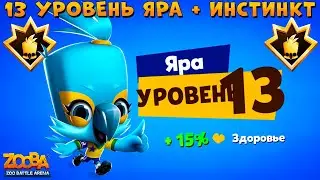 PARROT YARA - LEVEL 13!!! PRIMAL INSTINCT IN GAME - ZOOBA