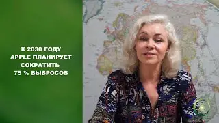 ESG-новости #7: Налог на пластик, переработка мусора, водород и углеродная нейтральность