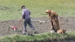 Дед танцует Бабка ругает