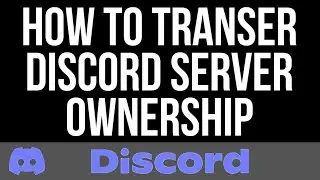 How to transfer Discord server ownership to another member