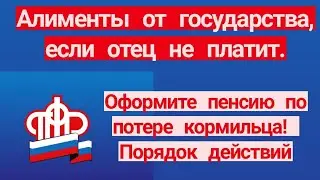 Алименты от государства, если отец не платит. Оформите пенсию по потере кормильца! Порядок действий