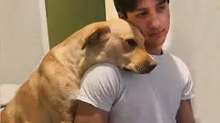 Get a dog, these moments you will have ! 🤣