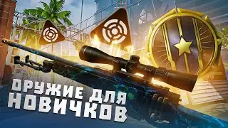 ОРУЖИЕ для НОВИЧКОВ ПРОТИВ МАСТЕРОВ на РМ