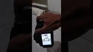 pose kucing tidur cantik 