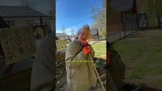 🔥бесплатный заборчик