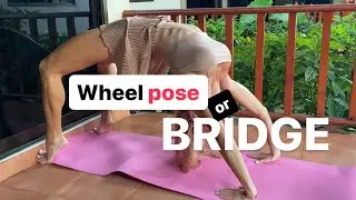 Yoga wheel pose or gymnastic bridge