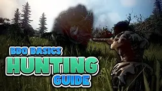 2024 Hunting Guide for Black Desert Online | BDO Basics