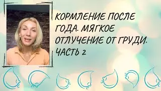 Кормление после года. Мягкое Отлучение от груди. Часть 2