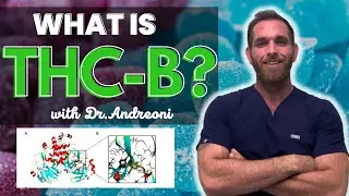 What Is THC-B?