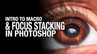 Introduction to Macro Photography and Focus Stacking in Adobe Photoshop