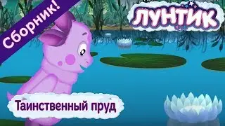 Лунтик 🌅 Таинственный пруд 🌅 Сборник мультфильмов