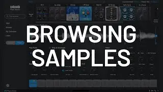 MEGA Sampler - Browsing and Downloading Samples | Plugin Alliance