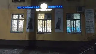 Везём котёнка на операцию / Удастся ли спасти? 3 часть