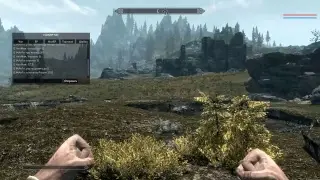 Тестим Skyrim Multiplayer