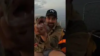 Рыба Рыба Моей мечты🙂 