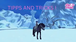 star stable/TIPS AND TRICKS !