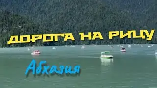 Дорога на озеро Рица (Абхазия) 👍
