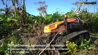 Уничтожение борщевика косилкой роботом на радиоуправлении