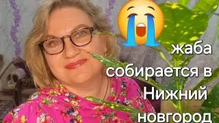 Видео с моего канала Бусти. Про ЖАБУ