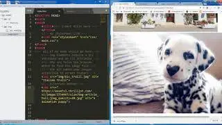 Adding images to your HTML