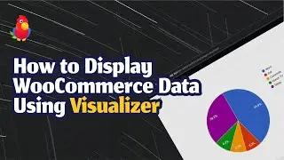 How to Display WooCommerce Data Using Visualizer [2023]