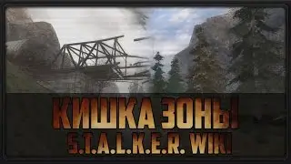 S.T.A.L.K.E.R. WIKI: КИШКА ЗОНЫ