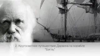 Теории эволюции