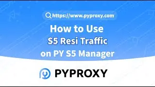 How to Use Residential Proxies on PY S5 Manager? #proxy #pyproxy #socks