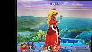 Super Smash Bros. Brawl: All Idle Animations