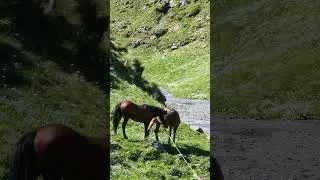 Дагестан 🌕Тлярата 🌄