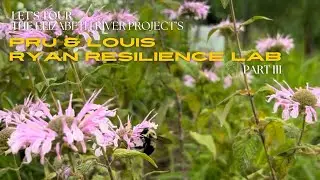 Tour Elizabeth River Project's Ryan Resilience Lab w/Jarrell Williams of Nomarama Part III