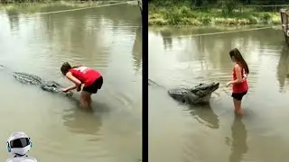 Посмотрите, что Бывает! Эти Видео Повезло Снять на Камеру