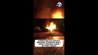 DUI driver smashes into wall near LA home in fiery crash, police say