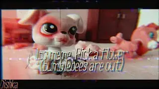 lps meme: Pick a flower (bumblebees are out)