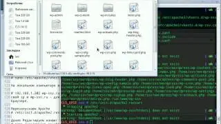 LAMP сервер + WordPress в Calculate Linux
